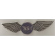 BSA wings badges