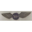 BSA  ailes badge email