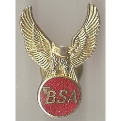 BSA Golden Flash badges