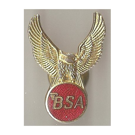 BSA Golden Flash badges