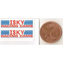 ISKY Racing cams  MICRO stickers  slot  31mm x 9mm