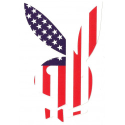 Play Boy USA  Sticker  100mm x 65mm