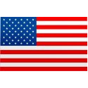USA FLAG  Sticker 