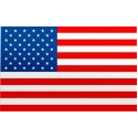 USA FLAG  Sticker