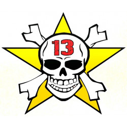 SKULL STAR 13 lamined sticker