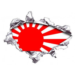 JAPAN LEFT Sticker 