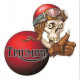 TRIUMPH right Skull laminated decal