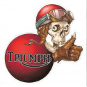 TRIUMPH right Skull laminated decal