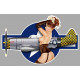 P47 THUNDERBOLT WW2 Sticker 