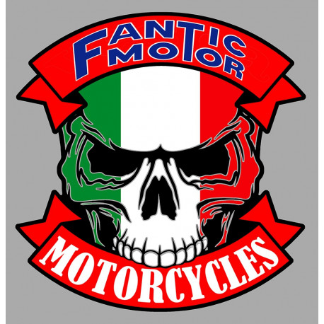 FANTICMOTOR skull Sticker UV  