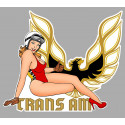 TRANS AM Right Pin Up laminated decal