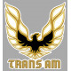 TRANS AM  laminated decal