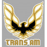 TRANS AM  laminated decal