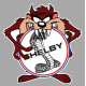 SHELBY TAZ Sticker UV