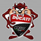 DUCATI CORSE TAZ laminated decal