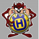 HUSQVARNA TAZ Sticker 