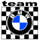 BMW TEAM Laminated vinyl decal