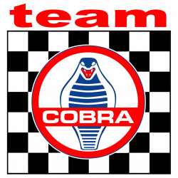  COBRA TEAM Sticker  