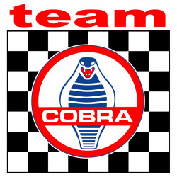  COBRA TEAM Sticker° 