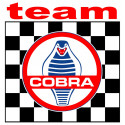  COBRA TEAM Sticker 