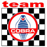  COBRA TEAM Sticker 