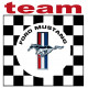 FORD MUSTANG TEAM Laminated decal