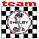 SHELBY TEAM Sticker