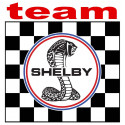 SHELBY TEAM Sticker  
