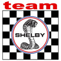 SHELBY TEAM Sticker