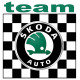 SKODA TEAM Sticker° 