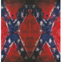 CONFEDERATE  BIC Sticker   68mm  x 65mm