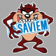 SAVIEM TAZ Sticker   