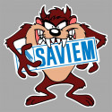 SAVIEM TAZ Sticker 