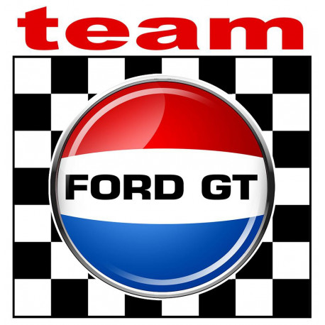  FORD GT TEAM STICKER Sticker  