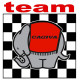  CAGIVA TEAM Sticker 