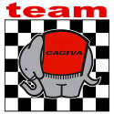  CAGIVA TEAM Sticker 