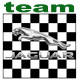   TEAM JAGUAR Sticker 