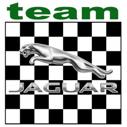  JAGUAR TEAM Sticker  