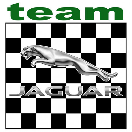  JAGUAR TEAM Sticker  