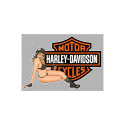 HARLEY DAVIDSON  right Pin Up Sticker  