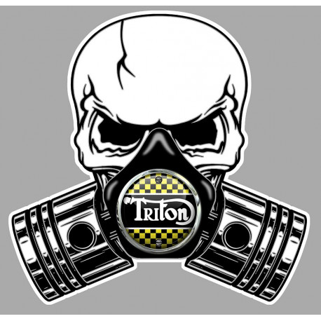 TRITON Pistons Skull Sticker