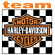 TEAM HARLEY  Sticker