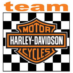 TEAM HARLEY  Sticker