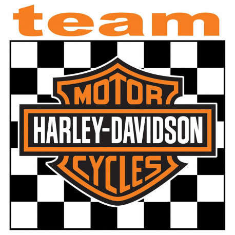 TEAM HARLEY  Sticker