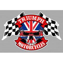 TRIUMPH  Skull / Flags Sticker