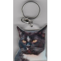 CAT  Key Fobs