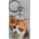 CAT Key Fobs