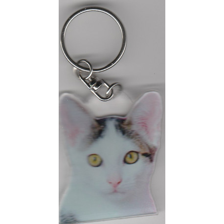 CAT Key Fobs