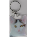 CAT Key Fobs