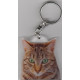 CAT Key Fobs